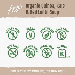 Quinoa, Kale & Red Lentil Soup
