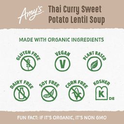 Thai Curry Sweet Potato Lentil Soup