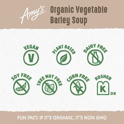 Vegetable Barley Soup