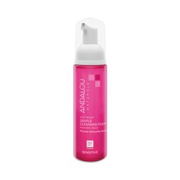 1000 ROSES® Gentle Cleansing Foam
