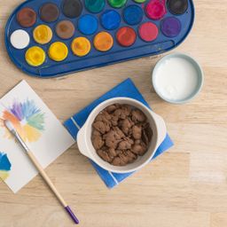 Chocolate Bunny Grahams Cookies