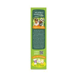 Grain-Free Crackers, Tomato Herb