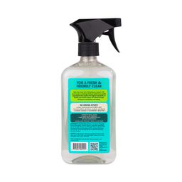 All-Purpose Cleaner, Eucalyptus