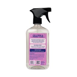 Toy & Highchair Cleaner, Fragrance-Free