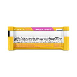 Superfood Bliss Protein Bar, Peanut Butter Chocolate Chip