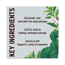 Nasya Oil Herbal Nasal Drops