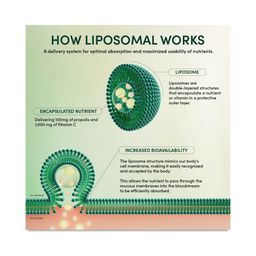 Propolis + Vitamin C