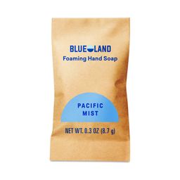 Foaming Hand Soap Tablet, Pacific Mist