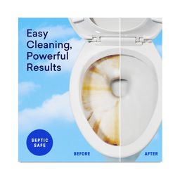 Toilet Cleaner Refill
