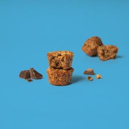 Oat Bites, Chocolate Chip