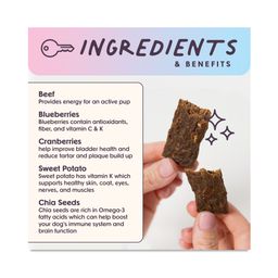 Leash & Load Beef Superfood Jerky Bars for Dogs