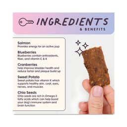 Ride & Vibe Salmon Superfood Jerky Bars for Dogs