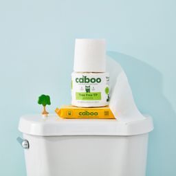 Flushable Bamboo Wipes, Multipack