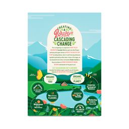Organic Cereal, Honey Nut O's
