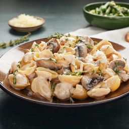 Organic Chickpea & Yellow Pea Pasta, Shells
