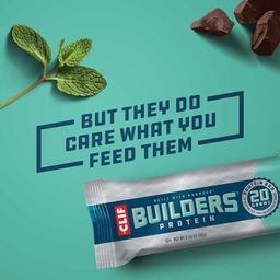 Builders Protein Bars, Chocolate Mint