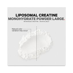 Liposomal Creatine Monohydrate Powder