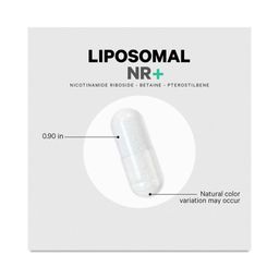 Liposomal Nicotinamide Riboside+ Eternal