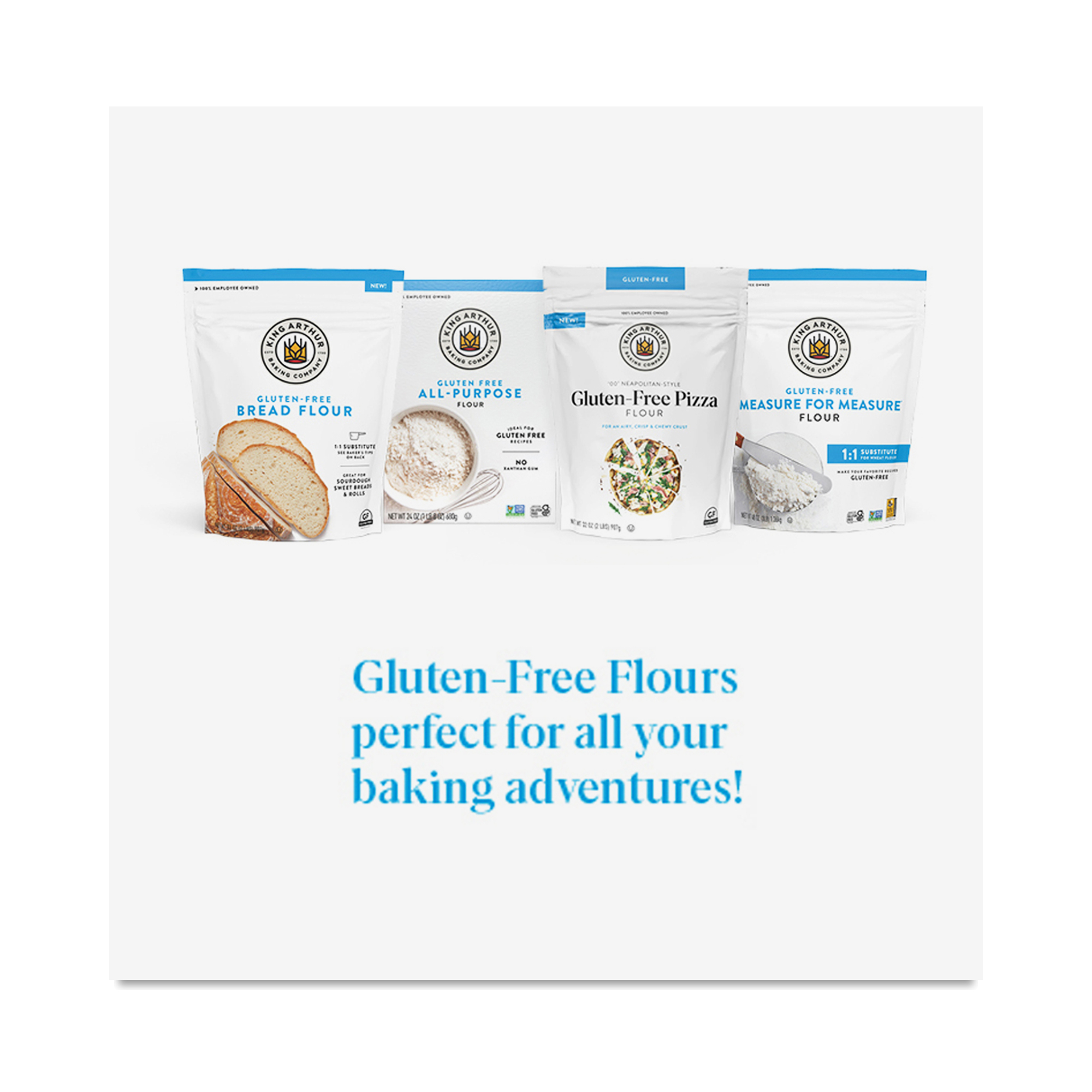 Arthur Flour Gluten King Arthur Gluten Free Sourdough Substitute