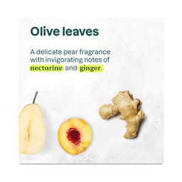 Super Leaves Hair Detangler, Avocado Oil & Olive Leaves