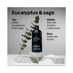 Super Leaves Men 2-in-1 Scalp Care Shampoo & Conditioner, Sage & Eucalyptus
