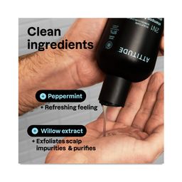 Super Leaves Men 2-in-1 Scalp Care Shampoo & Conditioner, Sage & Eucalyptus