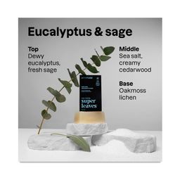 Super Leaves Men Body Soap, Sage & Eucalyptus