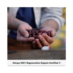 Whole Bean Coffee, Sugar Phoenix Blend Light-Medium Roast