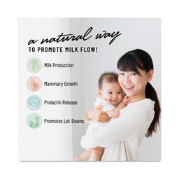 Pump Princess Lactation Support