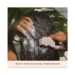 Shampoo Bar, Hydrating
