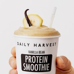 Protein Smoothie, Vanilla Bean