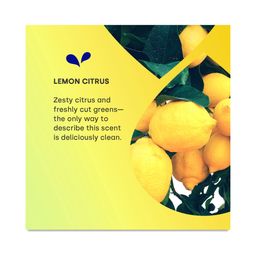 UltraWash Dishwasher Detergent Pods, Lemon Citrus