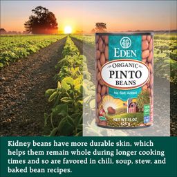 Organic Pinto Beans