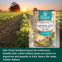 Organic White Kidney Beans