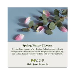 Stix + Stand, Spring Water & Lotus