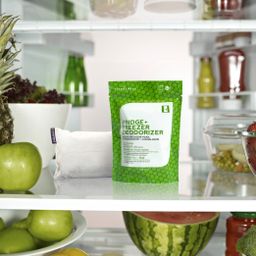 Fridge + Freezer Deodorizer