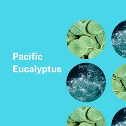 3 in 1 Soap, Pacific Eucalyptus
