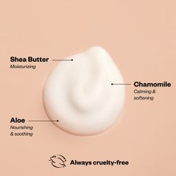 Foaming Hand Wash Refill, Coconut Vanilla