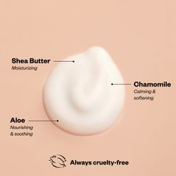 Foaming Hand Wash Refill, Fragrance Free