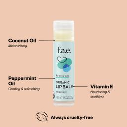 Organic Lip Balm, Peppermint