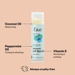 Organic Lip Balm, Peppermint