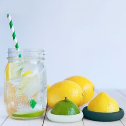 Food Huggers, Forest Mint