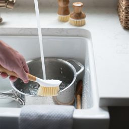 Be Good Dish Brush