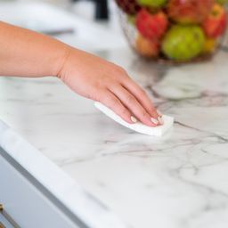 Plain Jane Plant-Based Sponges