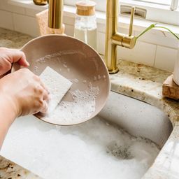 Plain Jane Plant-Based Sponges