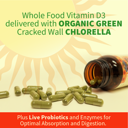Vitamin Code Raw D3
