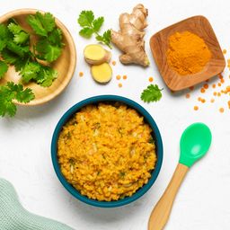 Veggie Tikka Masala Baby Food