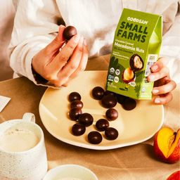 Chocolate Covered Macadamia Nuts