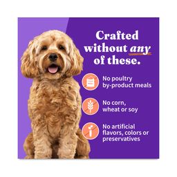 Grain Free Adult Wet Dog Food for Small Breed, Chicken & Salmon