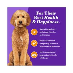 Holistic Dry Dog Food for Adult Dogs, Chicken & Brown Rice